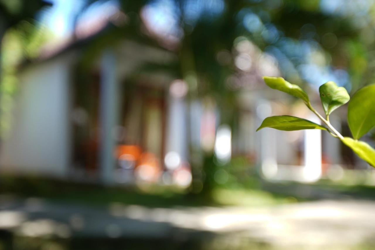 דואונג דונג Hoa Nhat Lan Bungalow מראה חיצוני תמונה
